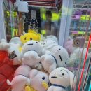 똥손아케이드 네이버블로그