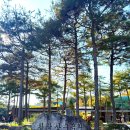 그늘막73 | 여주 아이랑 가볼만한곳 황학산수목원 가을단풍 여행 후기