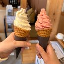 덱스마학원 | [도쿄/후지산투어] 3박4일 여행일지②