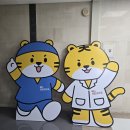 이디야안산고대 | [내돈내산] 안산고대병원 5인실 입원 후기 간호간병통합병동,병실비, 식사·편의시설까지 솔직 리뷰!