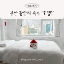 부산광역시 수영구 광안해변로 153   (광안동) 브릿지호텔 앞 | 부산 광안리 숙소 &#39;호텔1&#39; 프리미엄 마운틴 캐치 시티뷰 내돈내산 리뷰