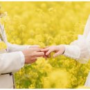 다사랑결혼정보 이미지