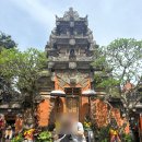 R.F Shop(알에프샵) | 신혼여행 7일차 🇮🇩발리 | 길리에서 우붓으로 이동! 우붓왕궁 &amp; 몽키포레스트