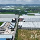 미래푸드 이미지