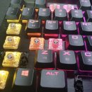 수원-0063 이미지