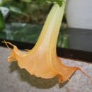 좋은엔젤유치원 이미지