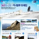 일등여행사 이미지