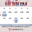고려튼튼마취통증의학과의원 네이버블로그