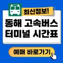 동해활어회센타 | 동해고속버스터미널 시간표 예매방법🔴