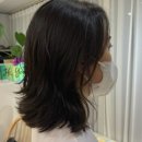 Hi Hair(하이 헤어)