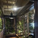 장항로 | 일산 버터떡 베이글 두바이소라빵 킴스델리마켓 대형카페 평일 방문 후기 주차 와이파이