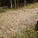 하원동 탐라왕자묘 이미지