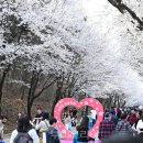 별따라꽃따라 이미지