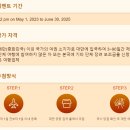 [대만 가오슝 #1] 여자 혼자 해외여행 준비하기