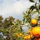 파인빌펜션 이미지