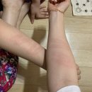 다은민박 이미지