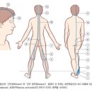 머슬테라피 네이버블로그