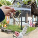 전주 한옥마을에서 특별한 추억 만들기! 전주공예품전시관 체험관 액막이명태만들기 후기