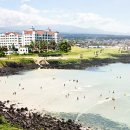 스위트펫 이미지