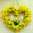 행복한 날 이미지