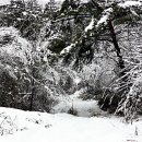 청산공인중개사