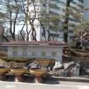 백송한신@ 이미지