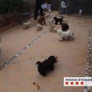 성대농장 이미지