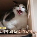 가인쉼터 이미지