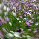 가을동화2 이미지