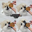 아토맘 수제간식 | 2월 설 시즌 명절 기름 없이 만든 저지방 강아지 수제간식 후기 | attho 아토 수제간식