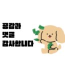 [서울|뚝섬] 억수로 055 팝업스토어 방문 후기 | 프로젝트렌트 2호점