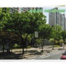 황실아파트(성룡초등학교) 이미지