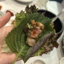 전포맛집 산성식육점 인생 서면고기집