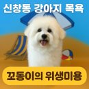 털이몽땅 이미지