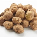 감미음식 이미지