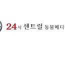 센트럴종합동물병원 네이버블로그