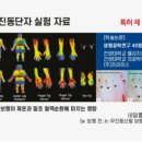 슈올즈광주 이미지