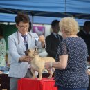 브리더클럽 이미지