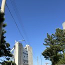숲 | 부산 기장 일광 오션뷰 감성 카페 숲 후기