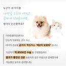 고양동물병원, 어떤 곳을 가야 할까?(1만 마리 아이들을 만난 경험의 조언)