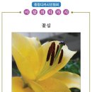 이경순 Daum카페