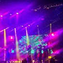 달랏 메모리쇼 베트남 아오자이 어메이징쇼 위치 정보 관람후기
