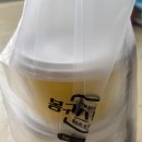 봉구스밥버거 동강대점 | 광주 가성비 점심 맛집 봉구스밥버거 서영대점