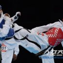 용인대 에이스 태권도 이미지