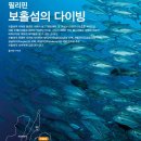 필리핀 보홀섬의 다이빙 - Bohol diving 이미지