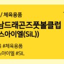 에스아이엘 이미지