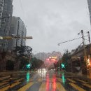 핸님이 좋아하는 비가 마니마니 내리는 날⛈️ 이미지