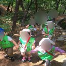 미예뜰유치원 이미지