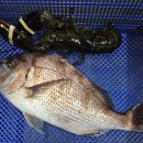 부산실내바다낚시터 이미지