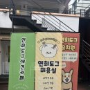 연희도그 이미지
